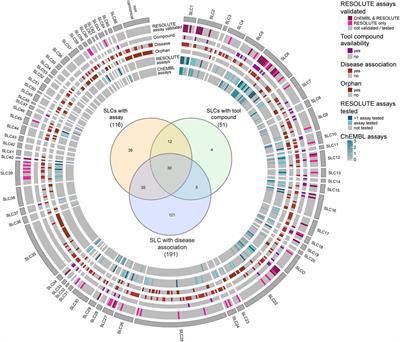 Advancing drug discovery through assay development: a survey of tool compounds within the human solute carrier superfamily